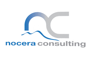 Nocera Consulting Sticker