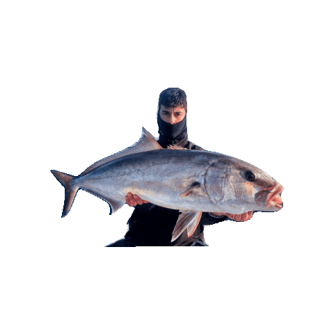 divateamfishing Sticker