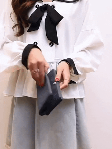 Women Wallet GIF