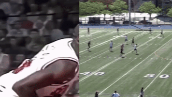 audl  GIF