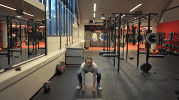 bec8888  GIF