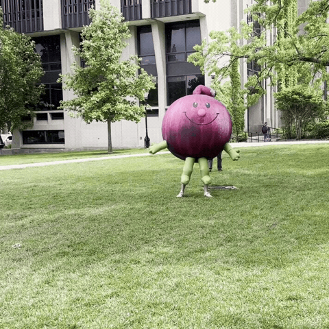 Onion Man GIF