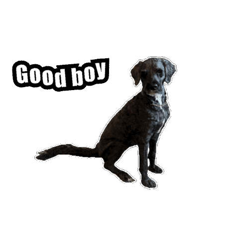 Fun Sticker