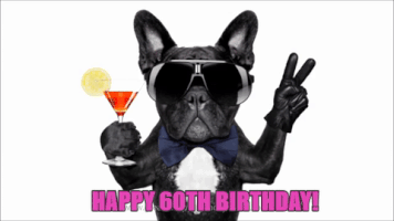 Happy 60th Birthday Gifs Get The Best Gif On Giphy Cute and funny pets birthday animated gif card. happy 60th birthday gifs get the best