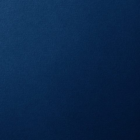 Money GIF