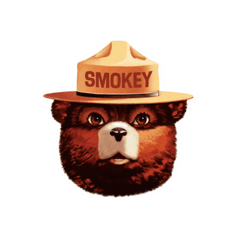Smokey The Bear Sticker by 스모키베어