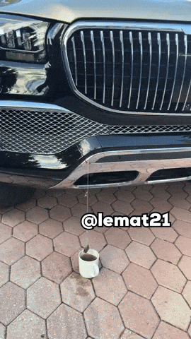 Shake GIF