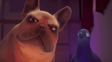 200.gif