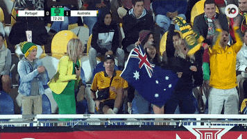 Fan Celebrate GIF by Football Australia