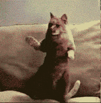 https://media4.giphy.com/media/GwbVjTKRkFgqs/200w.gif