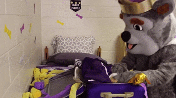 Travel College GIF by James Madison University