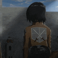Mikasa Attack On Titan Gifs Get The Best Gif On Giphy