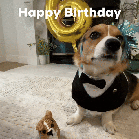 Happy Birthday Dog GIF