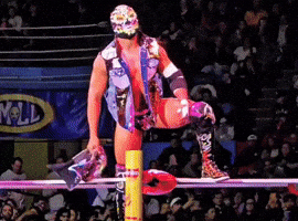 Lucha Libre Celebration GIF