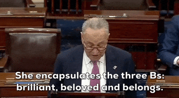 Belongs Chuck Schumer GIF by GIPHY News