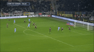 FLC  GIF