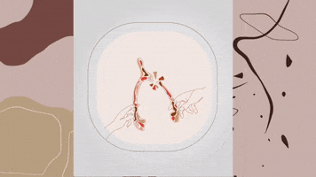ladeees GIF