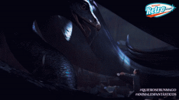 arturoaqualungo #autocinema #teotihuacan #animalesfantÃ¡sticos GIF