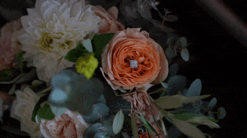 Wedding Engagement GIF by Tayla McGrath Projects