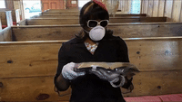 Mrw GIFs - Get the best GIF on GIPHY