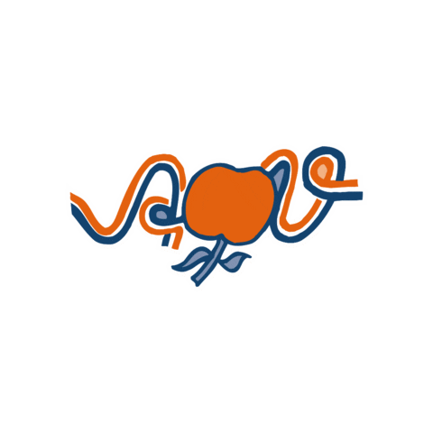 AOV Varsseveld Sticker