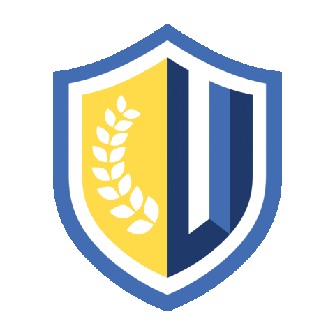 Soccer Futbol Sticker by COMVENCER