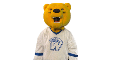 Bear Dab Sticker by Western New England University