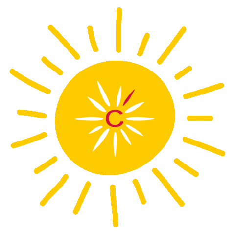 Sport Sun Sticker by Cofidis France