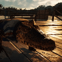 Good Boy Alligator GIF by Far Cry 6