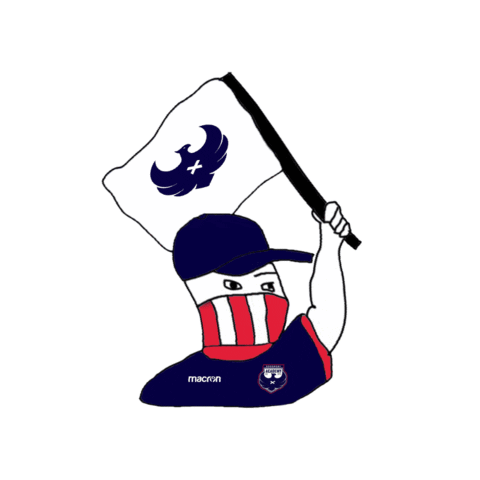 edusport academy Sticker