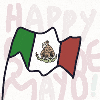 Mexican Flag GIF by Luis Ricardo