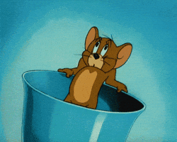 200.gif?cid=f0bdee70tpycgzqjfrzev819rfnkeeethvtbn1gx6jocf18l&rid=200.gif&ct=g