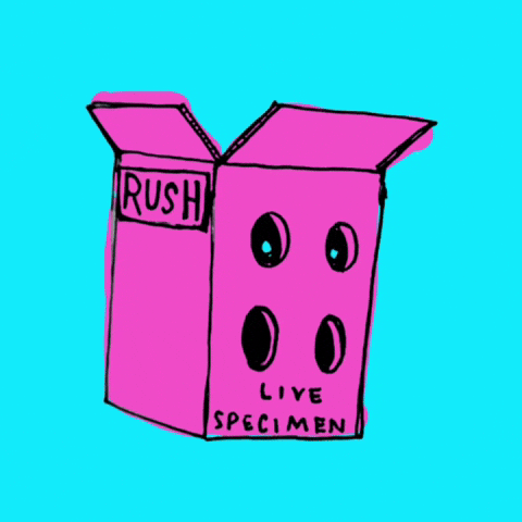 Dmvb GIF by DMV Beneficials