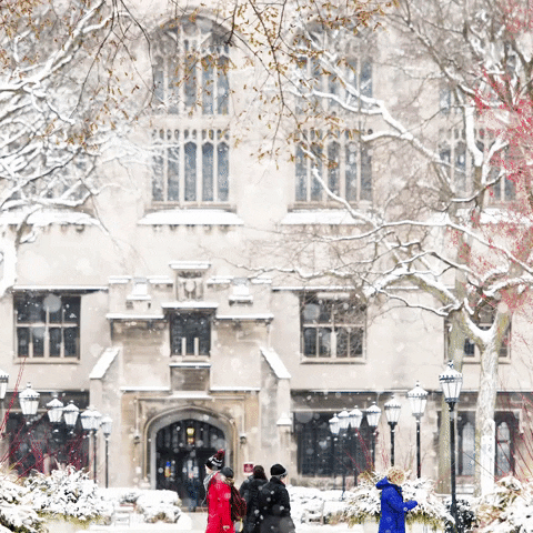 Snow Uchicago Winter GIF by The University of Chicago