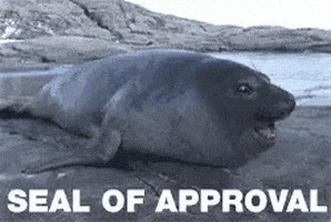 Approved GIF by memecandy