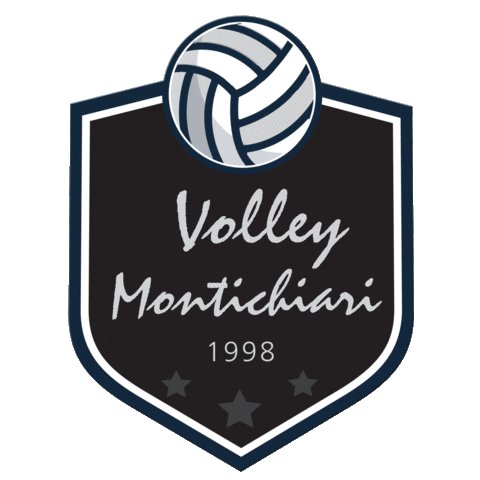 Volley Montichiari Sticker