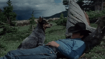 Camping Jake Gyllenhaal GIF by Focus Features