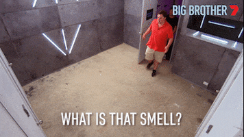 Big Brother Housemate GIF by Big Brother Australia