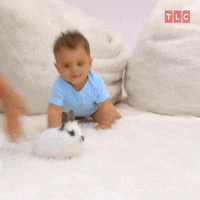 Crawling-baby GIFs - Get the best GIF on GIPHY