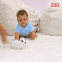 Crawling-baby GIFs - Get the best GIF on GIPHY Crawling-baby GIFs - Get the best GIF on GIPHY
