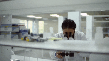 Higher Education England GIF by Edge Hill University