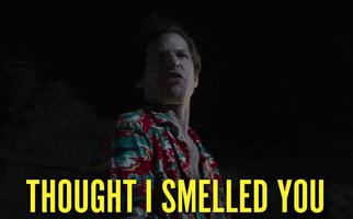 Fuck You Andy Samberg GIF by The Lonely Island