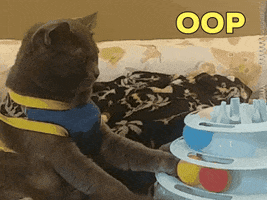 Oop GIF