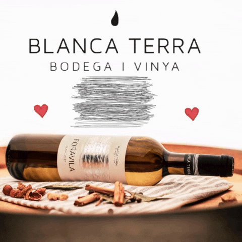BlancaTerra wine vino blanco bodega GIF