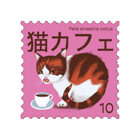 Šindelářová Sára Sticker
