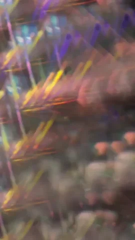 Light Waves Party GIF