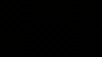 Griffwerk Klettern GIF