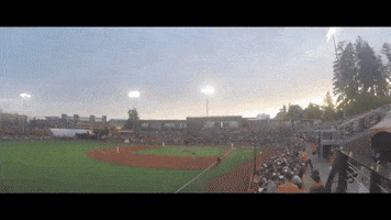 BeaverBaseball baseball oregon state goss stadium GIF