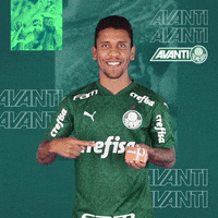 Happy Marcos Rocha GIF by SE Palmeiras