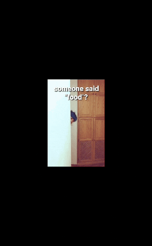 paendaofficial dance sport food yes GIF